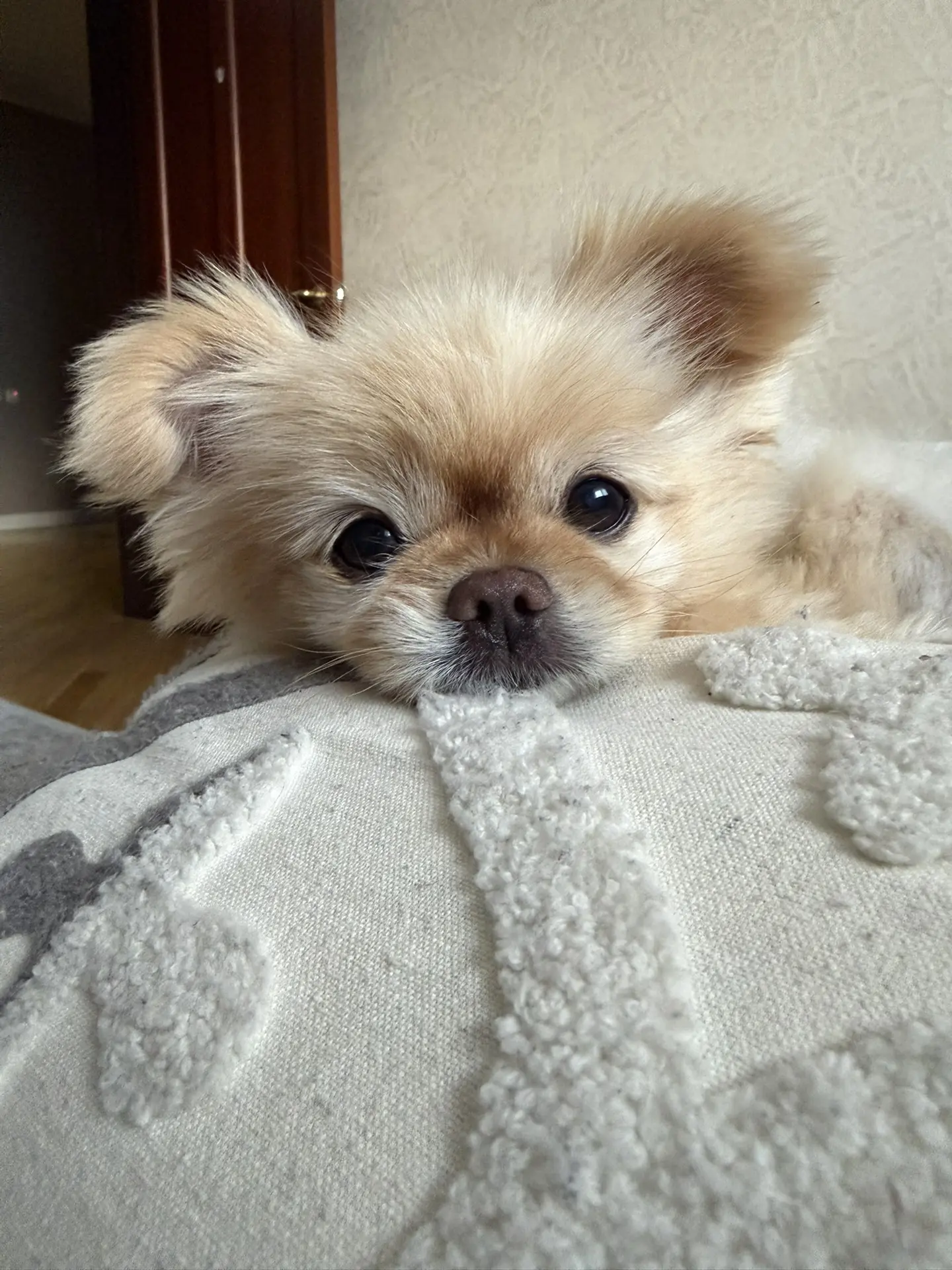 Доброе утро ☕️