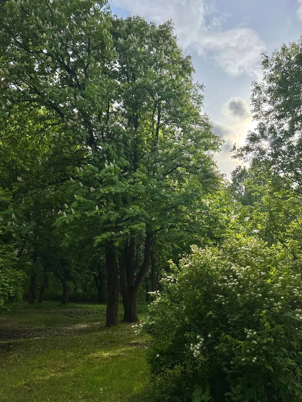 🌳5 июня - Международный день окружающей среды

Каждый день мы торопимся на работу или учебу, идем п
