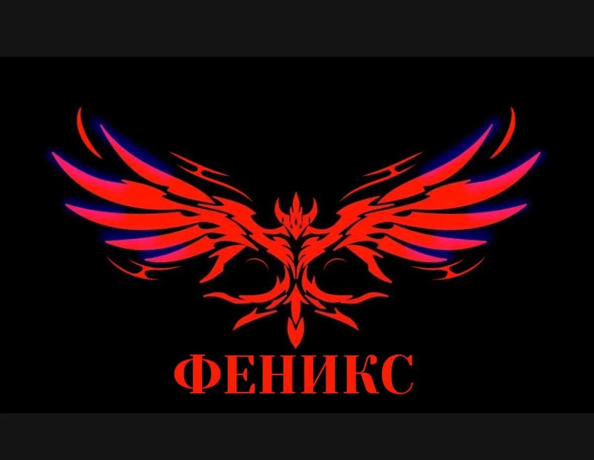 🔥 Мы — команда «ФЕНИКС» 🔥

Сегодня хотим наконец-то познакомить вас с нами.

Мы — не просто участн