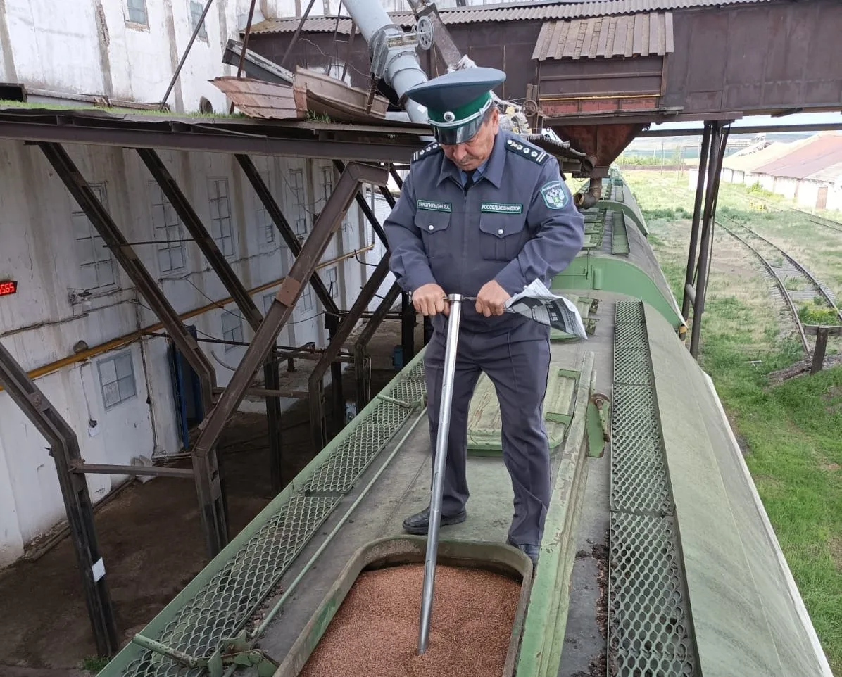 Башкирия за 5 месяцев 2026 г. нарастила реализацию зерна и продуктов его переработки на внутреннем р