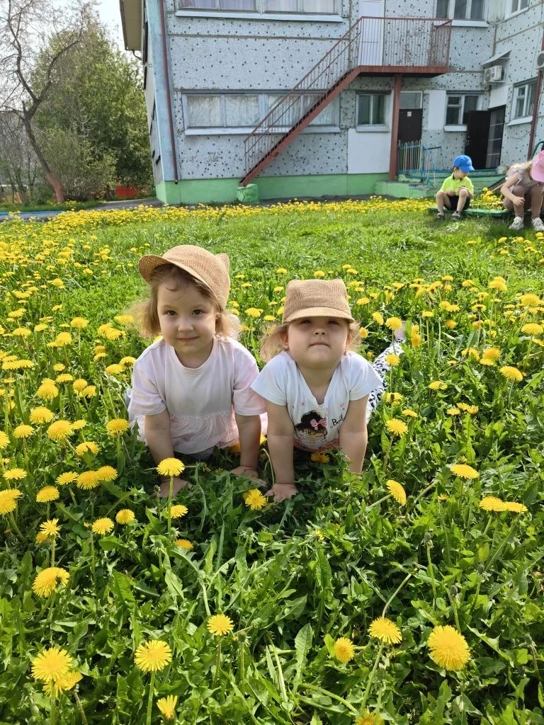 Как же прекрасно лето🌞. Оно завораживает своей красотой. Наши дети любят поваляться на травке и зар