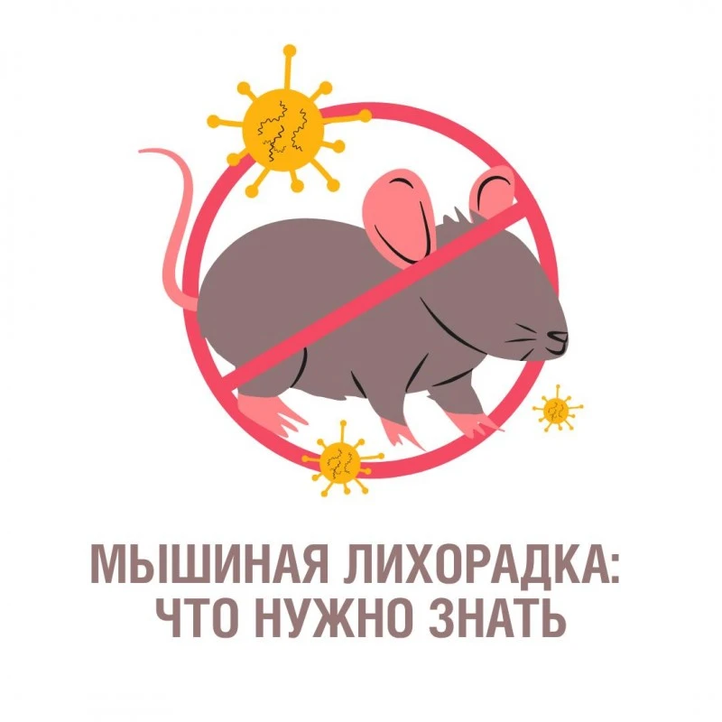 ❗️С наступлением дачного сезона Роспотребнадзор информирует о профилактике геморрагической лихорадки