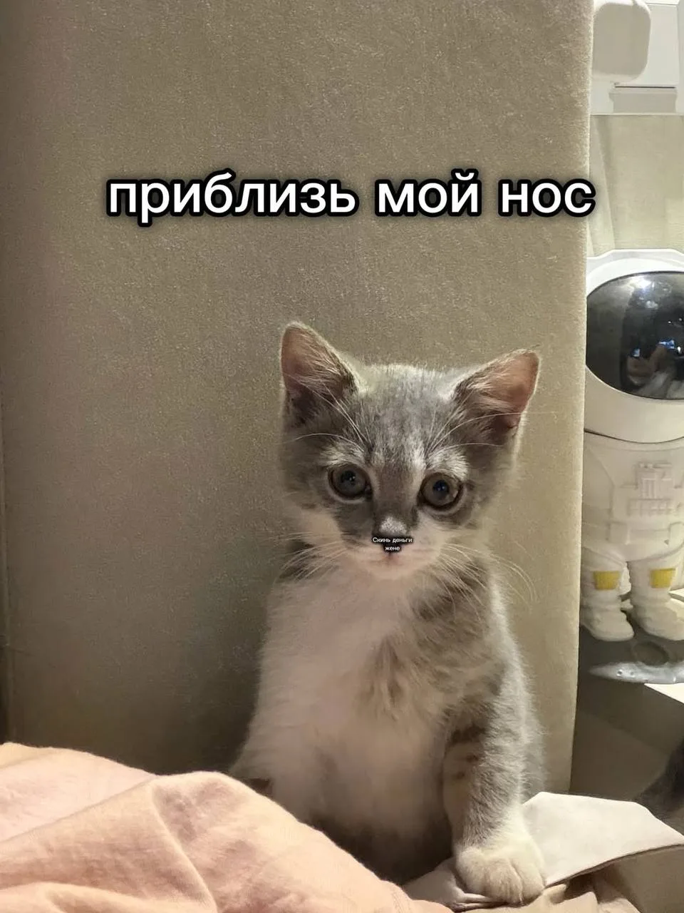 Девы, не благодарим, сами знаете кому отправить