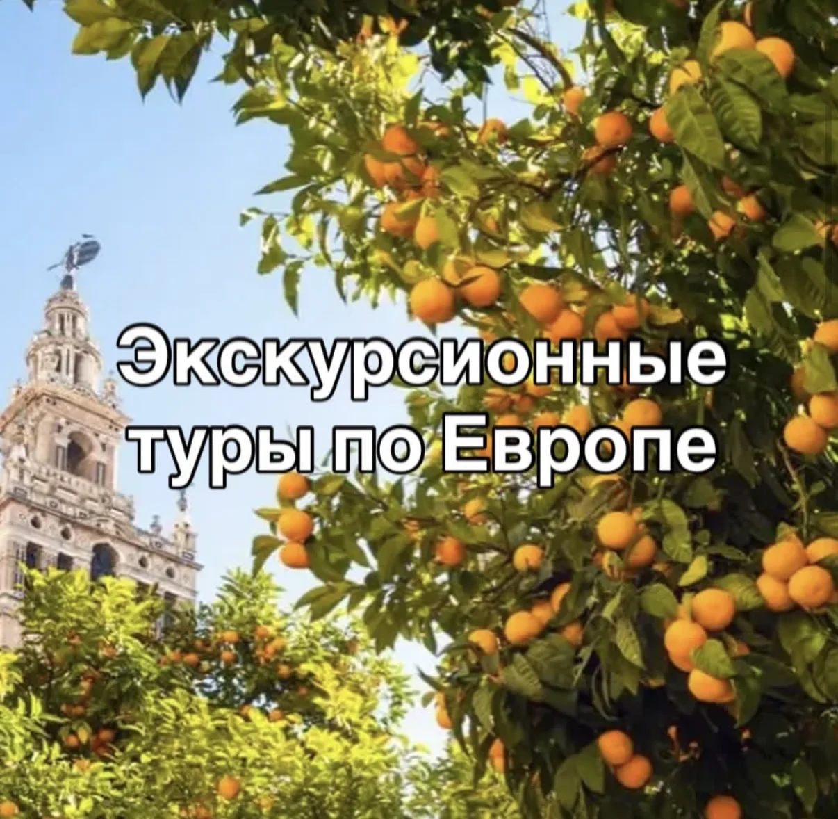 🔥Друзья, рады вам предложить готовые экскурсионные туры по Европе и не только!

Вам не нужно "замор