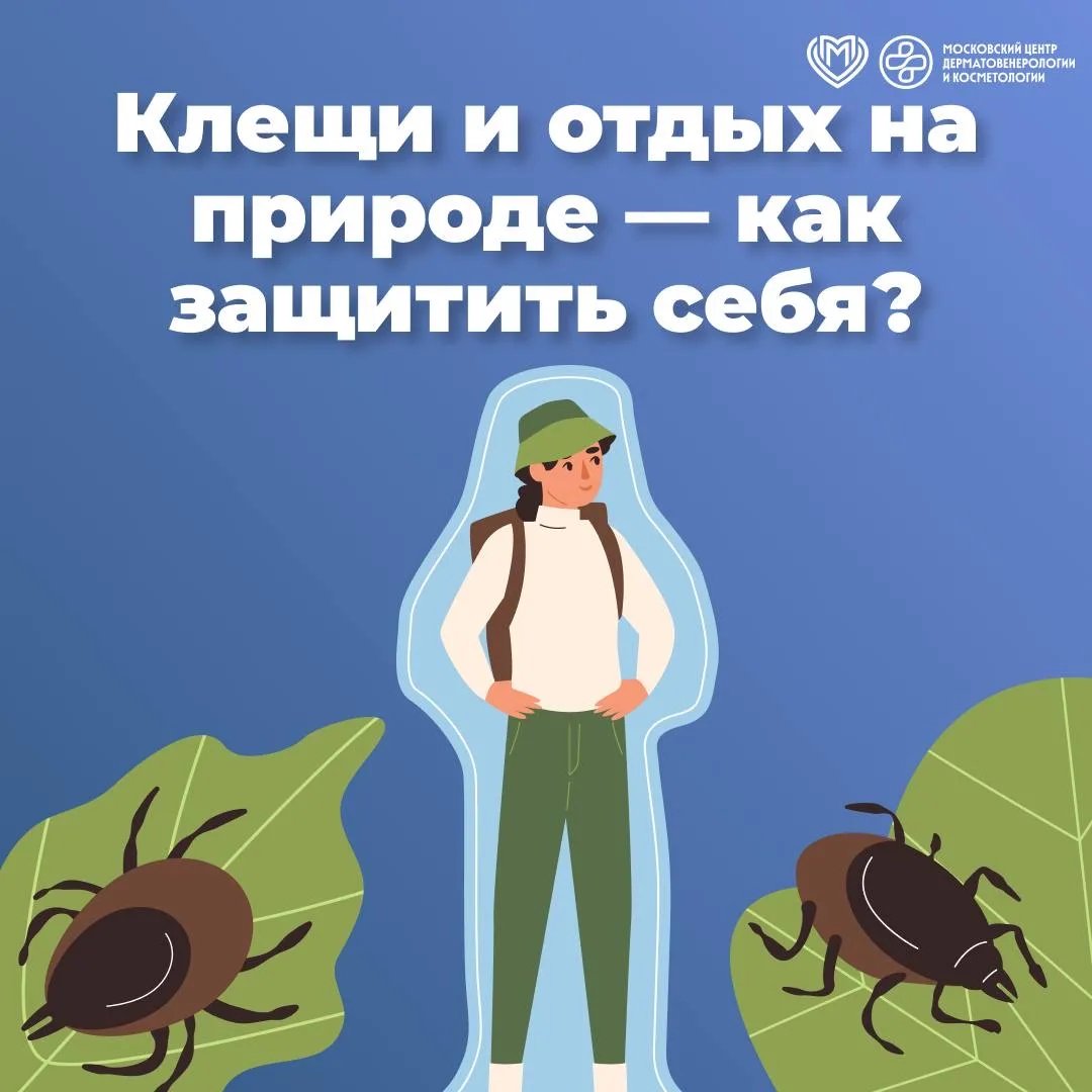 🌿 Клещи и отдых на природе — как защитить себя.