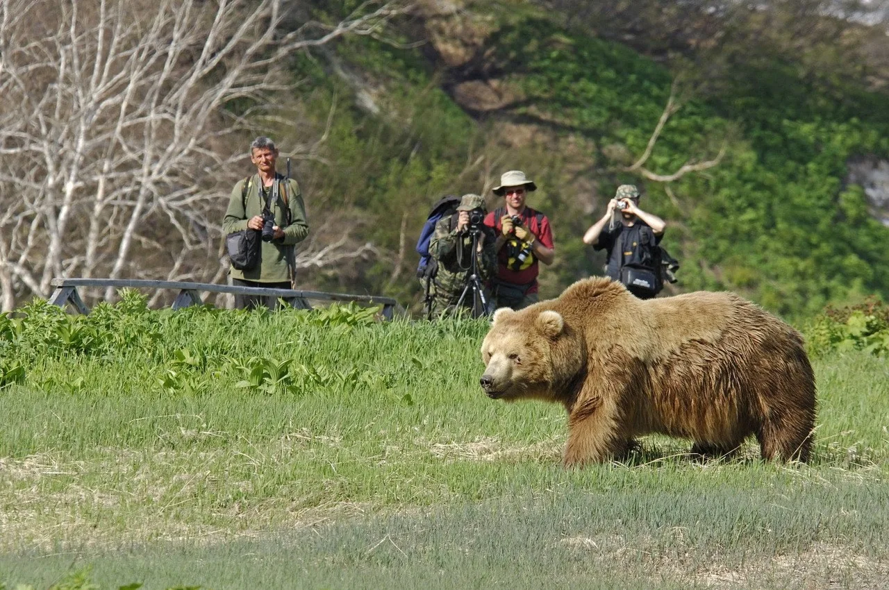 🐻 Правила поведения при встрече с косолапыми

⚠ Увидели медведя — не приближайтесь. Осторожно покин