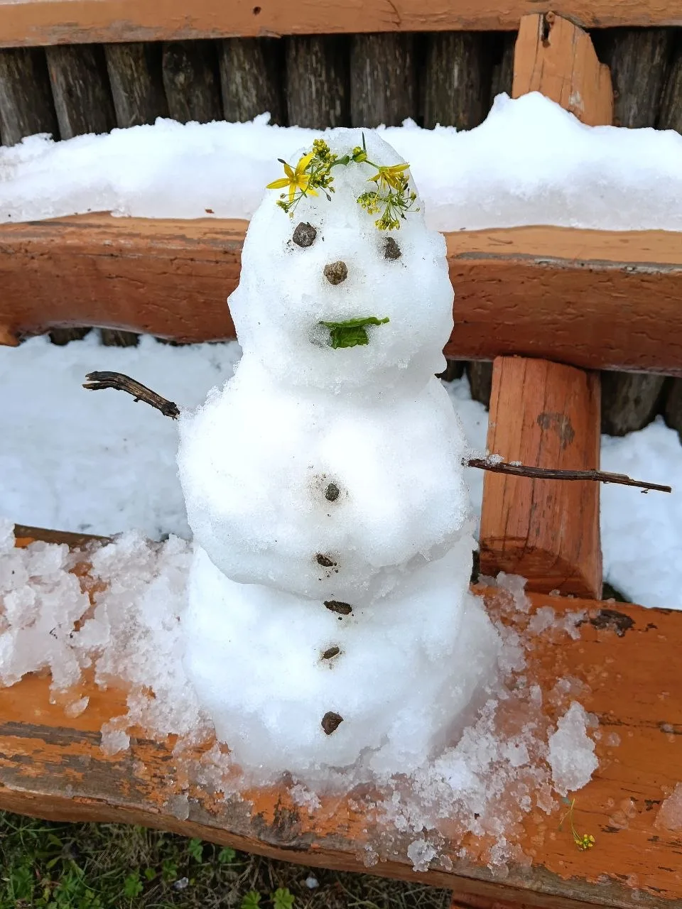 Снеговики этим летом, в тренде ⛄️

📸 наши туристы и инструктор Юлия Маняхина

#турклубвосход #приэл