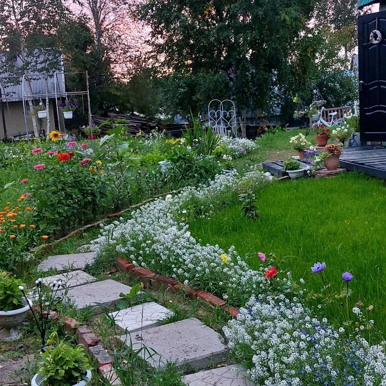 Шикарный многолетник — Алиссум 🤍

Садоводы любят этот нежный цветок за раннее пышное цветение и мин