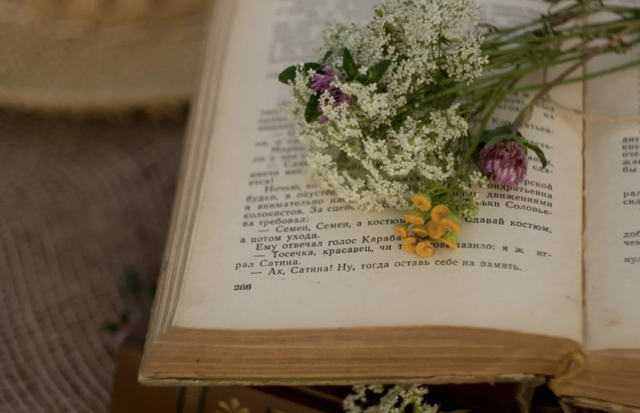 Слушала на днях одну литературную лекцию, посвящённую книжным рецензиям, где юная девушка рассказыва