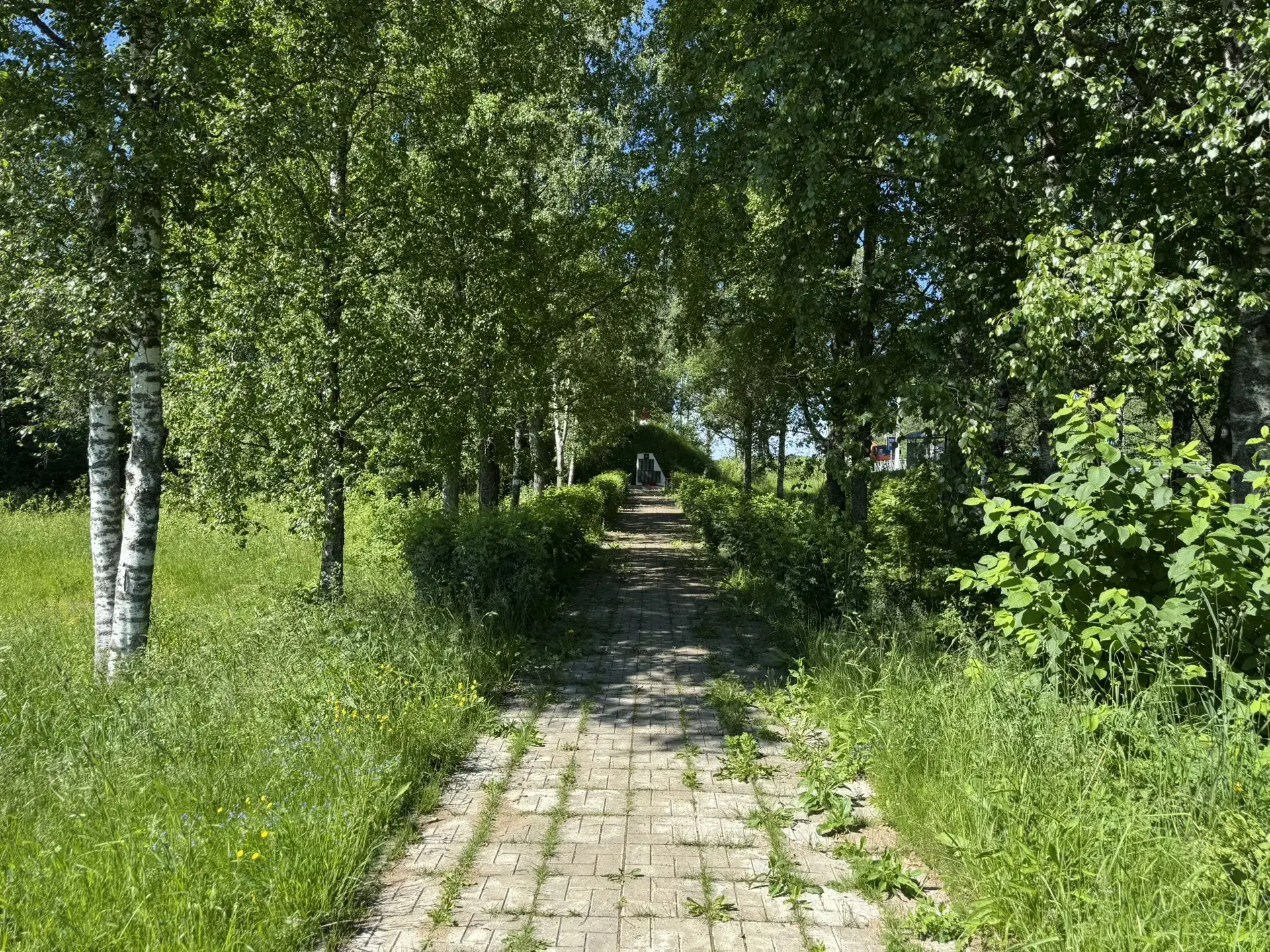 🌿В деревне Доможирово состоялся субботник, направленный на благоустройство знаковых для местных жит