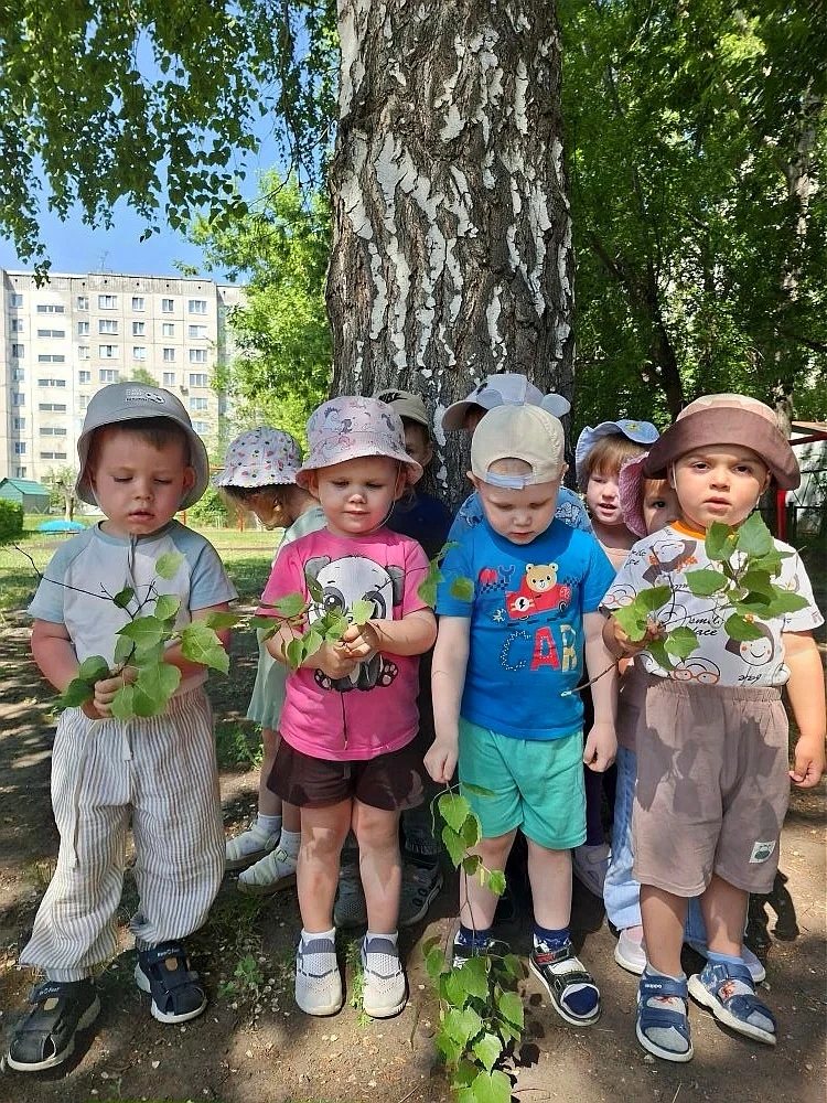 Наши малыши познакомились с настоящим символом России — белоствольной красавицей берёзкой! Этот день