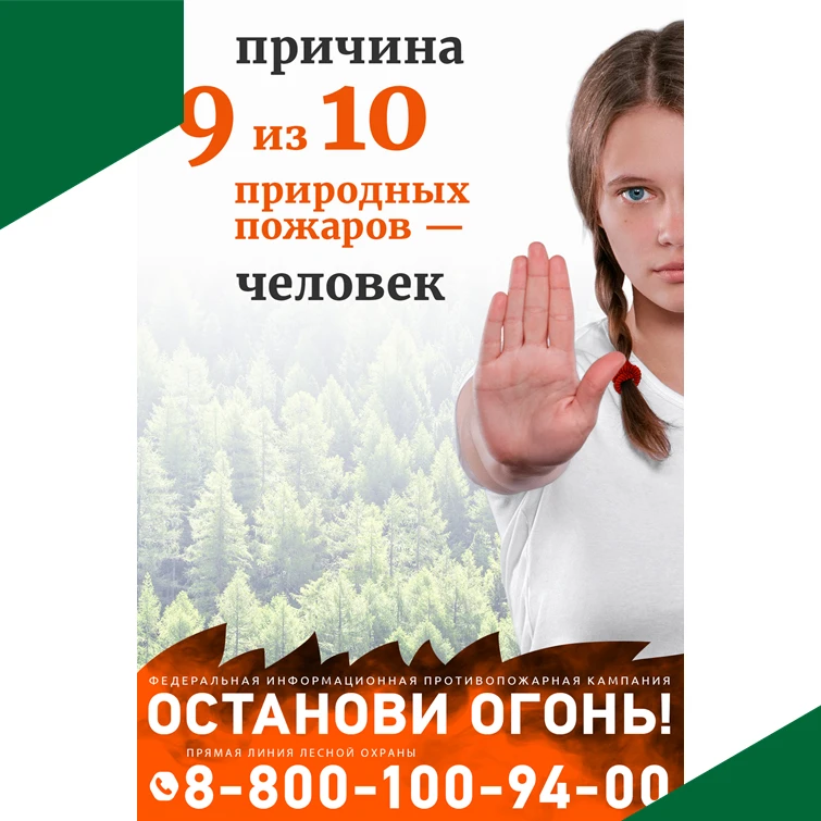 За прошедшие выходные в период с 6 июня по 7  июня  2026  года на территории Владимирской области  л