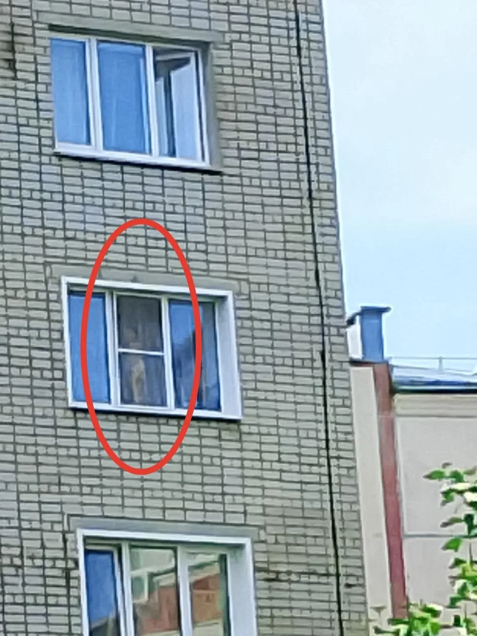 На маму выпавшего с 4 этажа малыша завели уголовное дело

Как выяснили полицейские, мать мальчика на