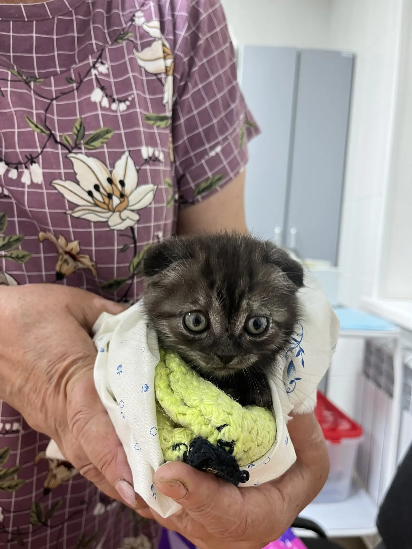 Маленькое чудо❤️ 
Еще вчера жил на улице, а сегодня уже обрел дом 🏠 
Провели осмотр, обработали от 