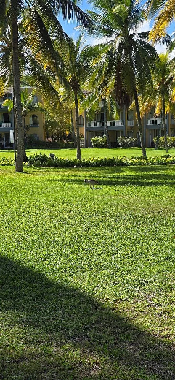 Outrigger Mauritius Resort & Spa 5* Маврикий

Начало тура: из Москвы
8+1 ночей
31 июл (Пт) – 09 авг 