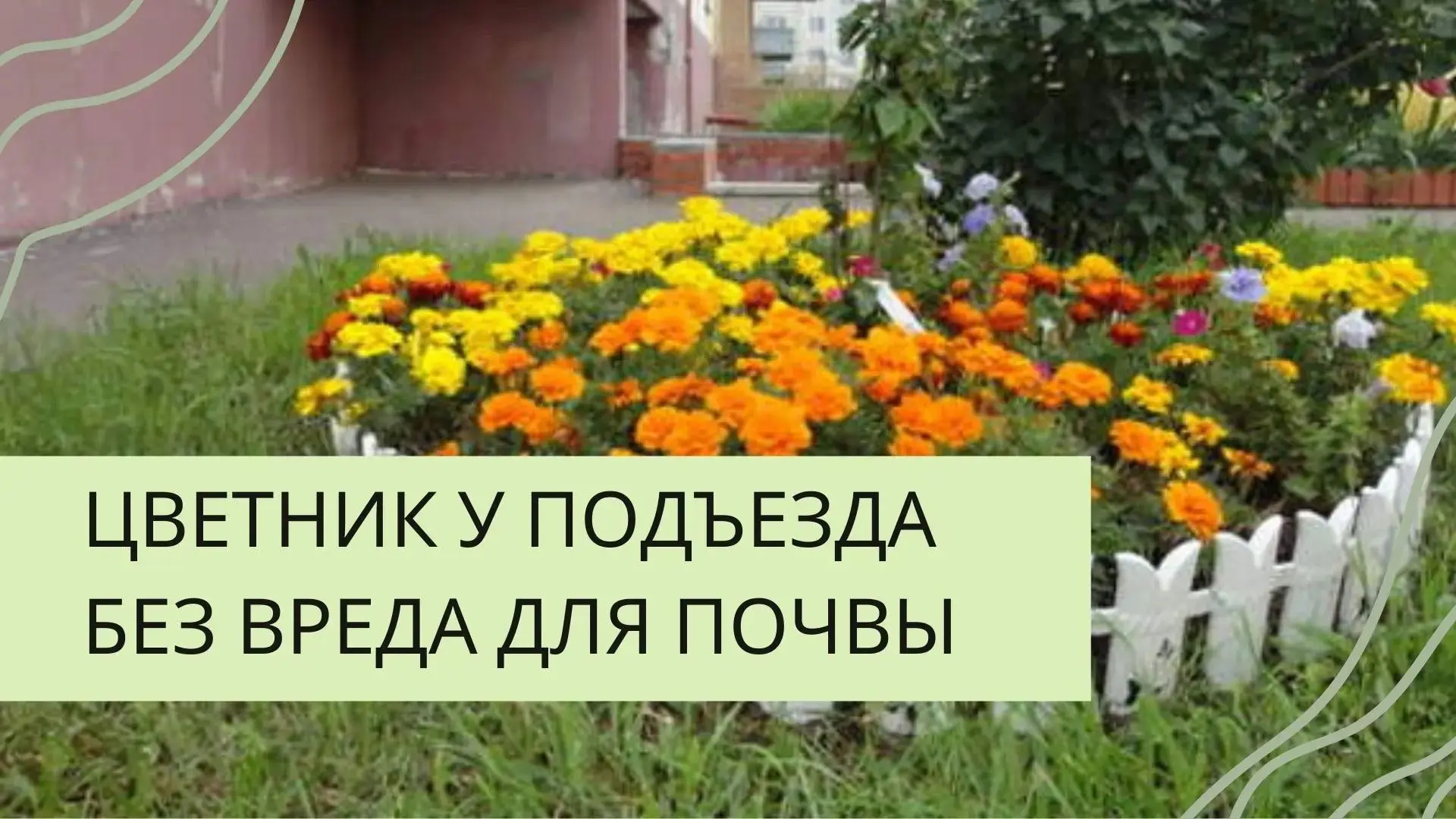 🌷 Красота у подъезда: радость для глаз и забота о доме

Ухоженные клумбы возле подъезда - это не пр