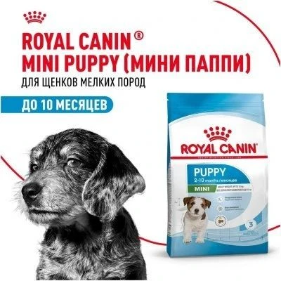 Выгодное предложение для владельцев малышей! 🐶

Корм ROYAL CANIN® MINI PUPPY для щенков мелких поро