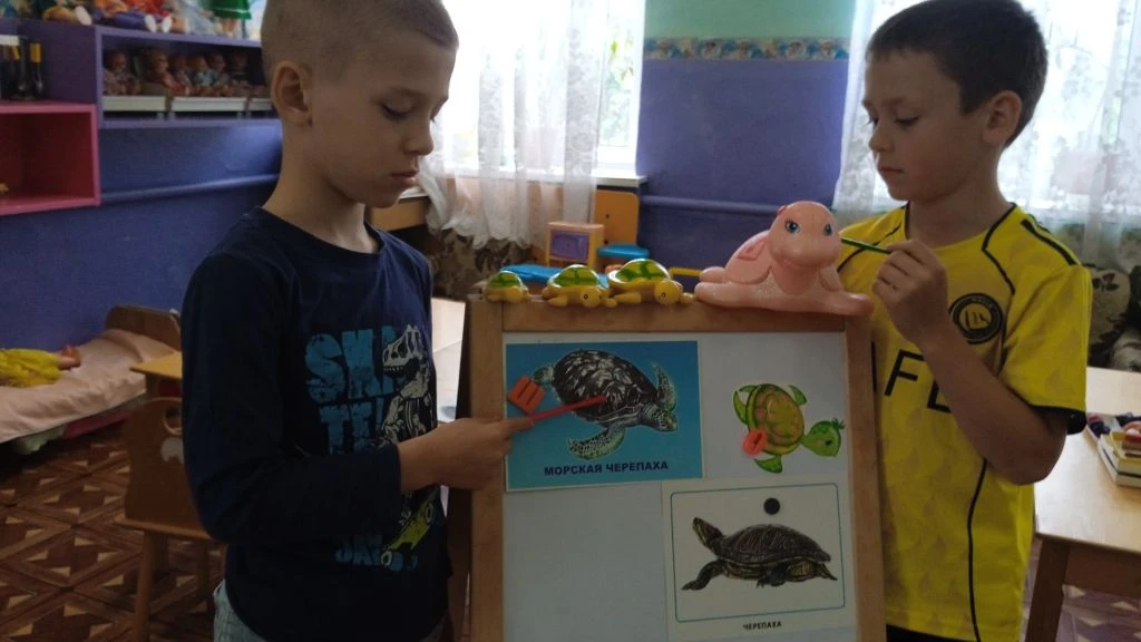 Лепка в подготовительной группе " Капельки". Тема: " Черепаха".