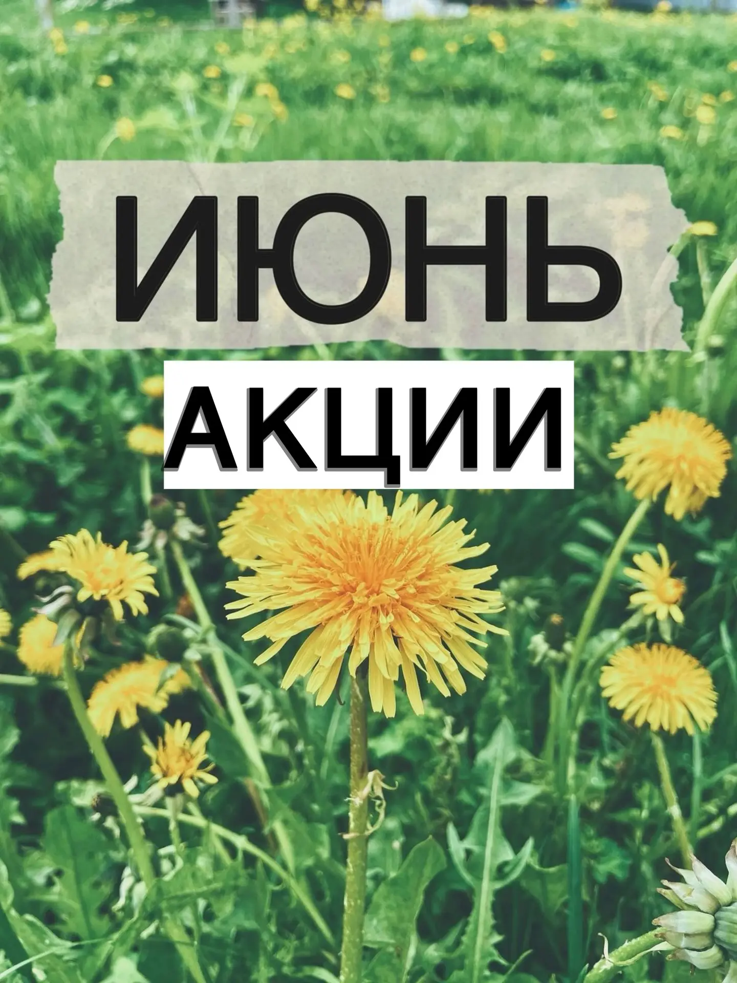 ☀️АКЦИИ ИЮНЯ ☀️

♦️Лазерная эпиляция -25% на все отдельные зоны (кроме маленьких)
• Пакет 1 (тотальн