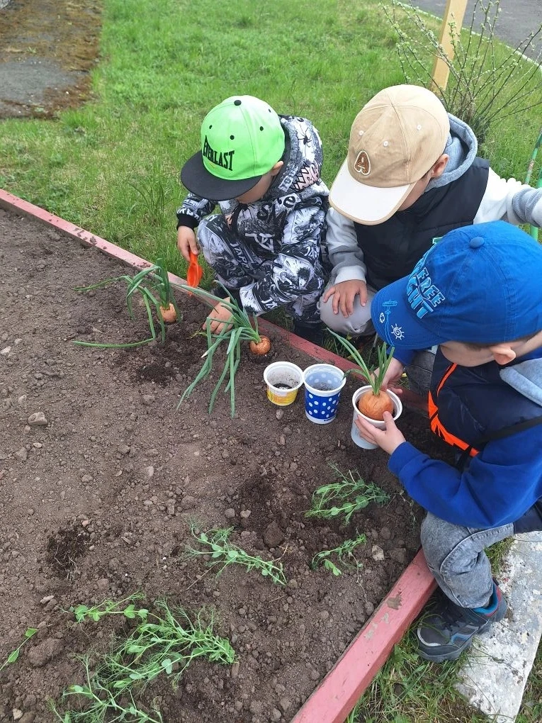 🌱 Маленькие огородники: группа «Совушки» открывает дачный сезон! 🦉🥕

В нашем детском саду закипел