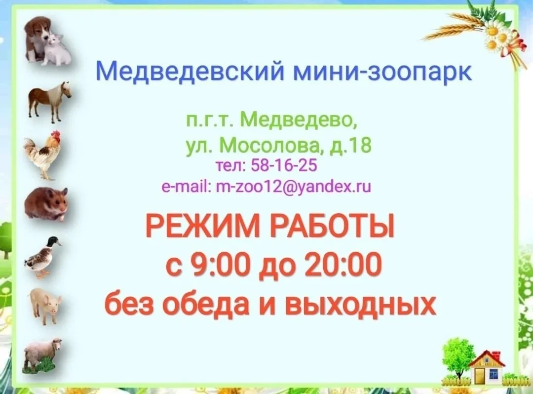 ❗МИНИ-ЗООПАРК ПЕРЕХОДИТ НА ЛЕТНИЙ РЕЖИМ РАБОТЫ❗ 
🌷С  1 ИЮНЯ 2026 ГОДА зоопарк будет открыт для посе