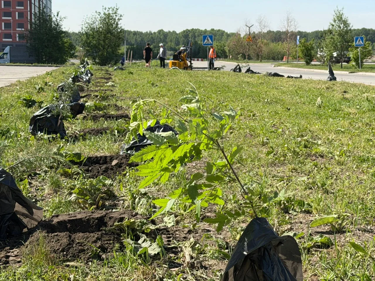 Сажаем деревья вместе! 🌱

Сегодня жители микрорайона Чистая Слобода совместно с управляющей компани