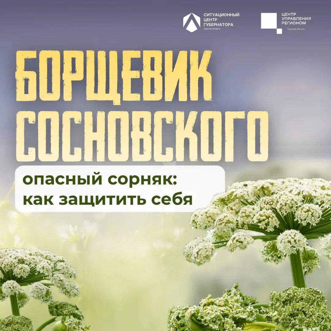 🚨 Борщевик наступает — пора действовать!

Борщевик Сосновского — это не просто назойливый сорняк, а