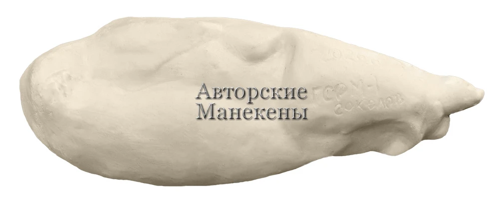 В продаже появился "Манекен гусь серый ГСРМ-1 А"
Размер: B=33,5 C=40 см
Более детальная информация н