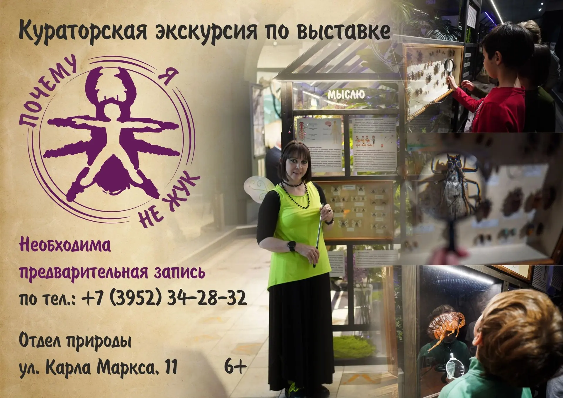 Узнайте об удивительных фактах анатомии насекомых на кураторской экскурсии по выставке "Почему я не 