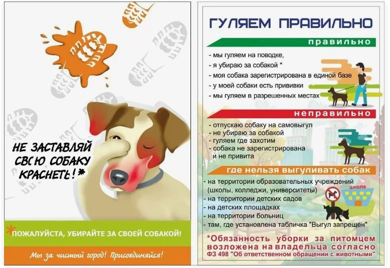 Уважаемые жители!👋
Соблюдайте пожалуйста правила выгула собак!