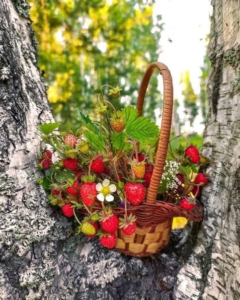 И будем УТРО начинать со ВКУСОМ, пока у нас есть к ЖИЗНИ аппетит....

Уголок Душевного Тепла ❤️