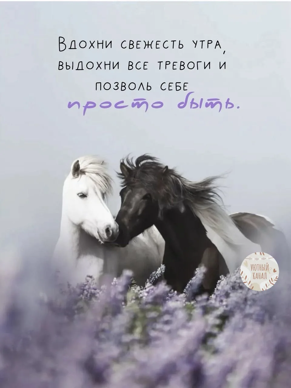 🌿Вам #УтреннееПослание 

Подарите себе немного тишины.
Иногда именно она возвращает силы 🤍

🕊️Чуд