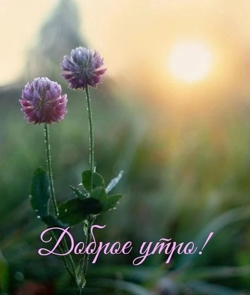 Доброе утро!