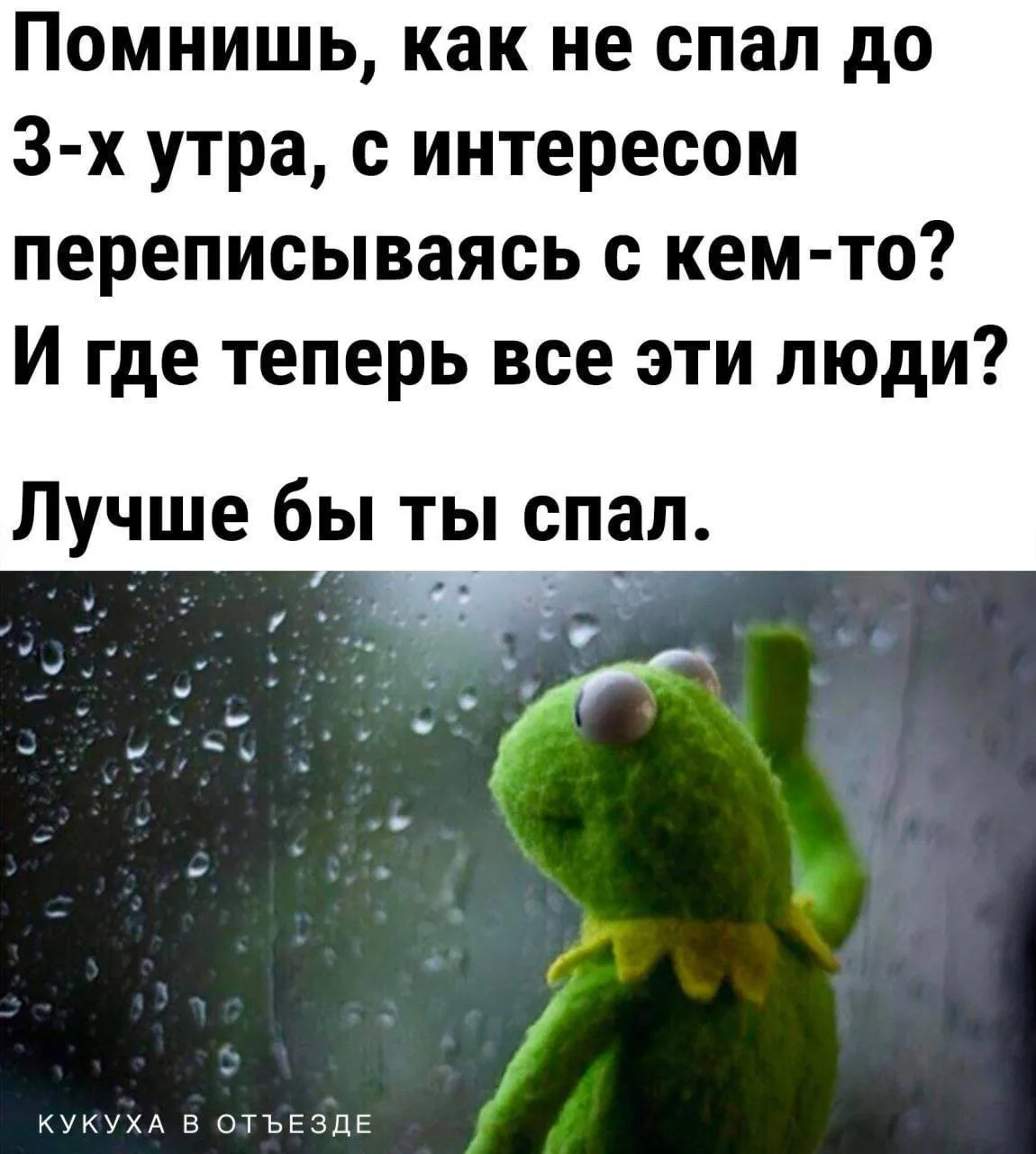 Кукуха в отъезде 🐦
