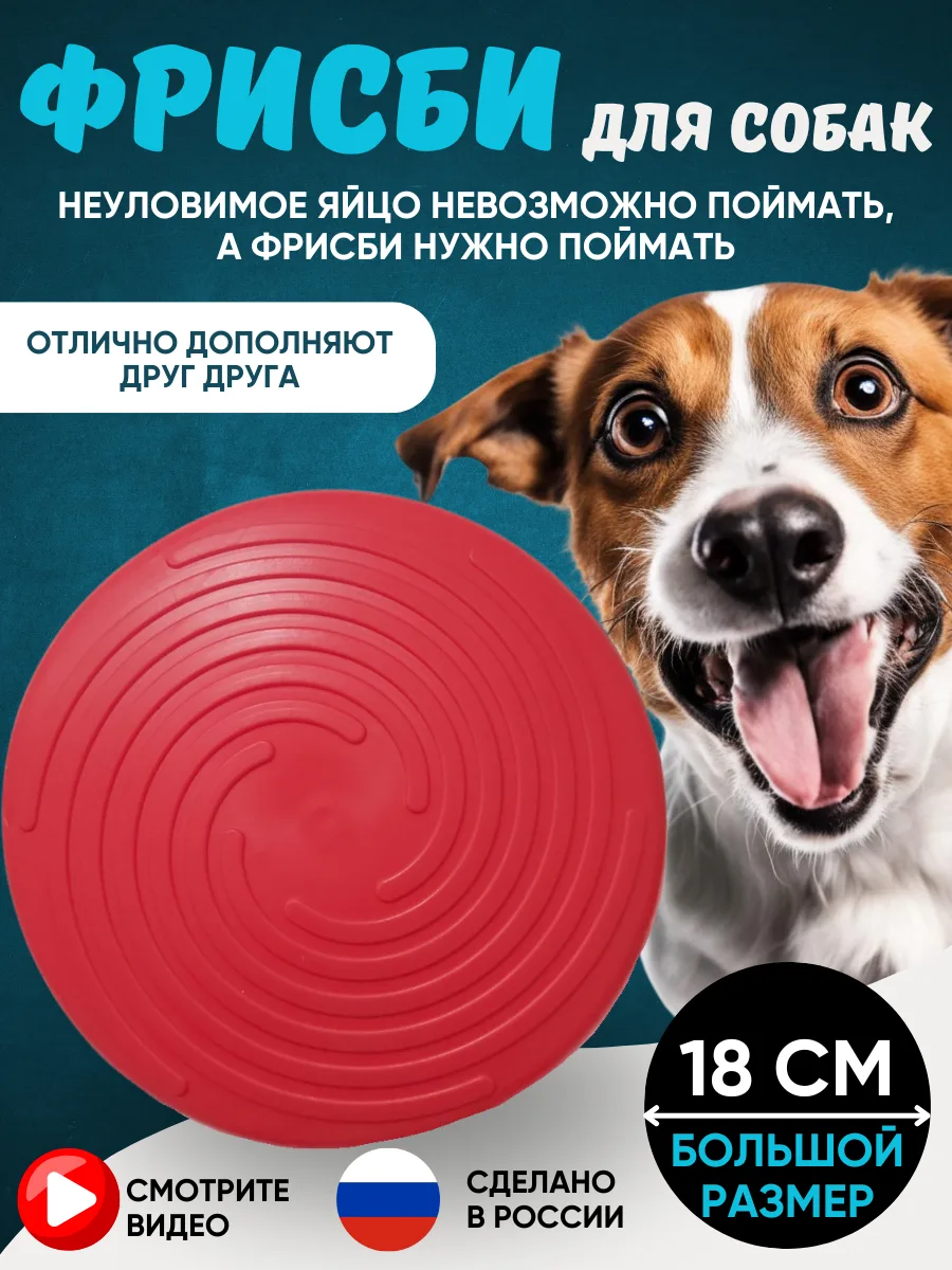 🐕🌞⛱Расскажу о самом летнем из наших товаров в линейке игрушек для собак.

Речь пойдет о фрисби. Хо