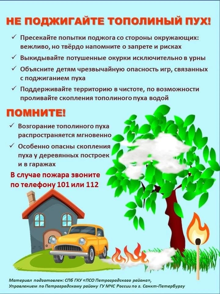 Тополиный пух — легковоспламеняющийся материал: он быстро загорается и способствует стремительному р