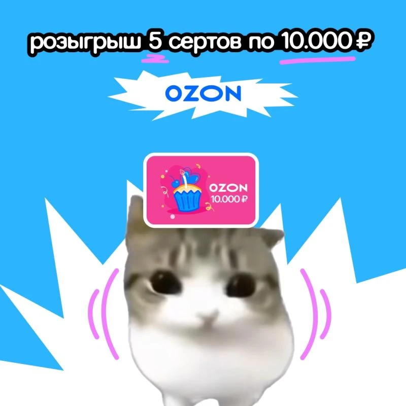 вы хотели — получайте. да-да, прислушались к вам и по итогам голосовалки дарим 5 сертиков Озона по 1