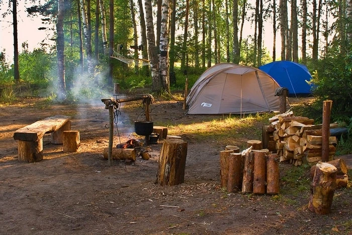 Два правила при выборе места для лагеря и его организации🏕 От выбора места для ночлега в лесу завис