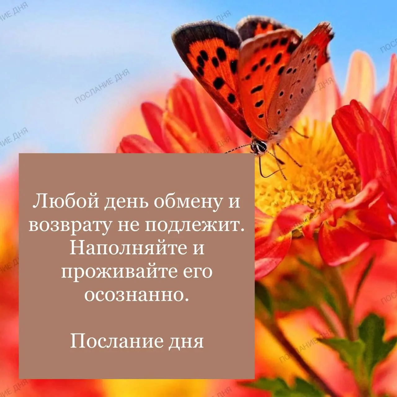 Послание дня