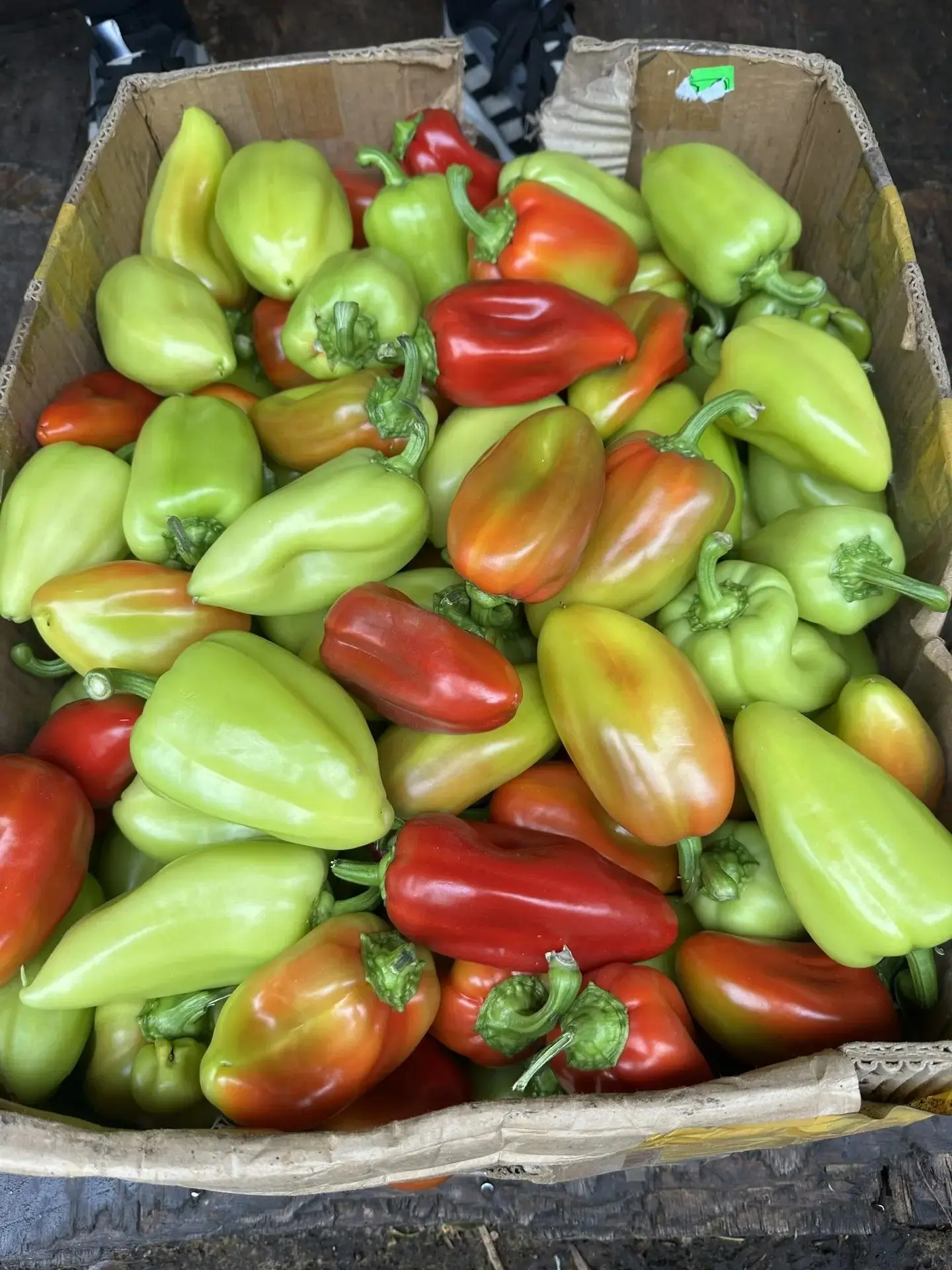 Отличная новость для жителей Строителя, привезли:

1) Арбузы - 🍉 65 (каристан очень сладкие)
2) Арб