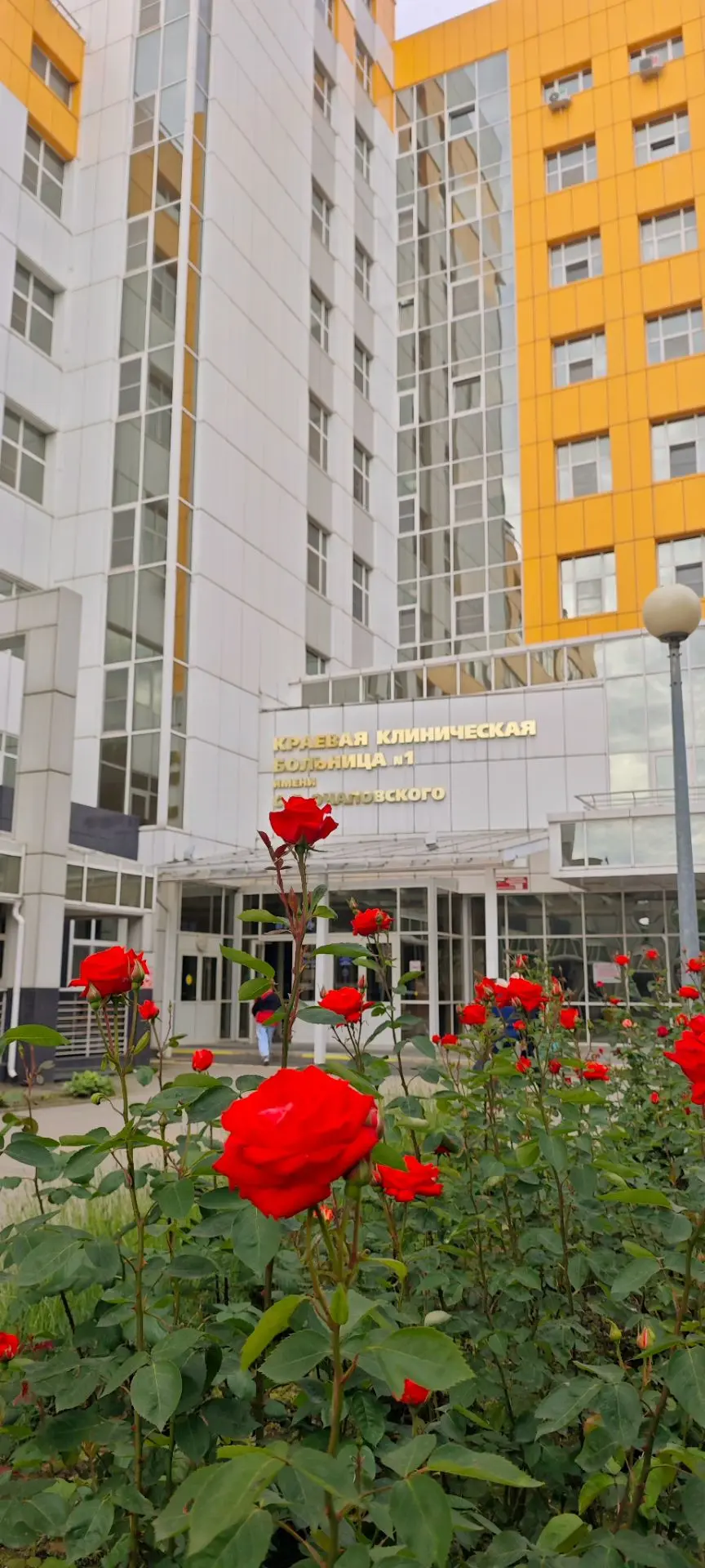 #летоккб1