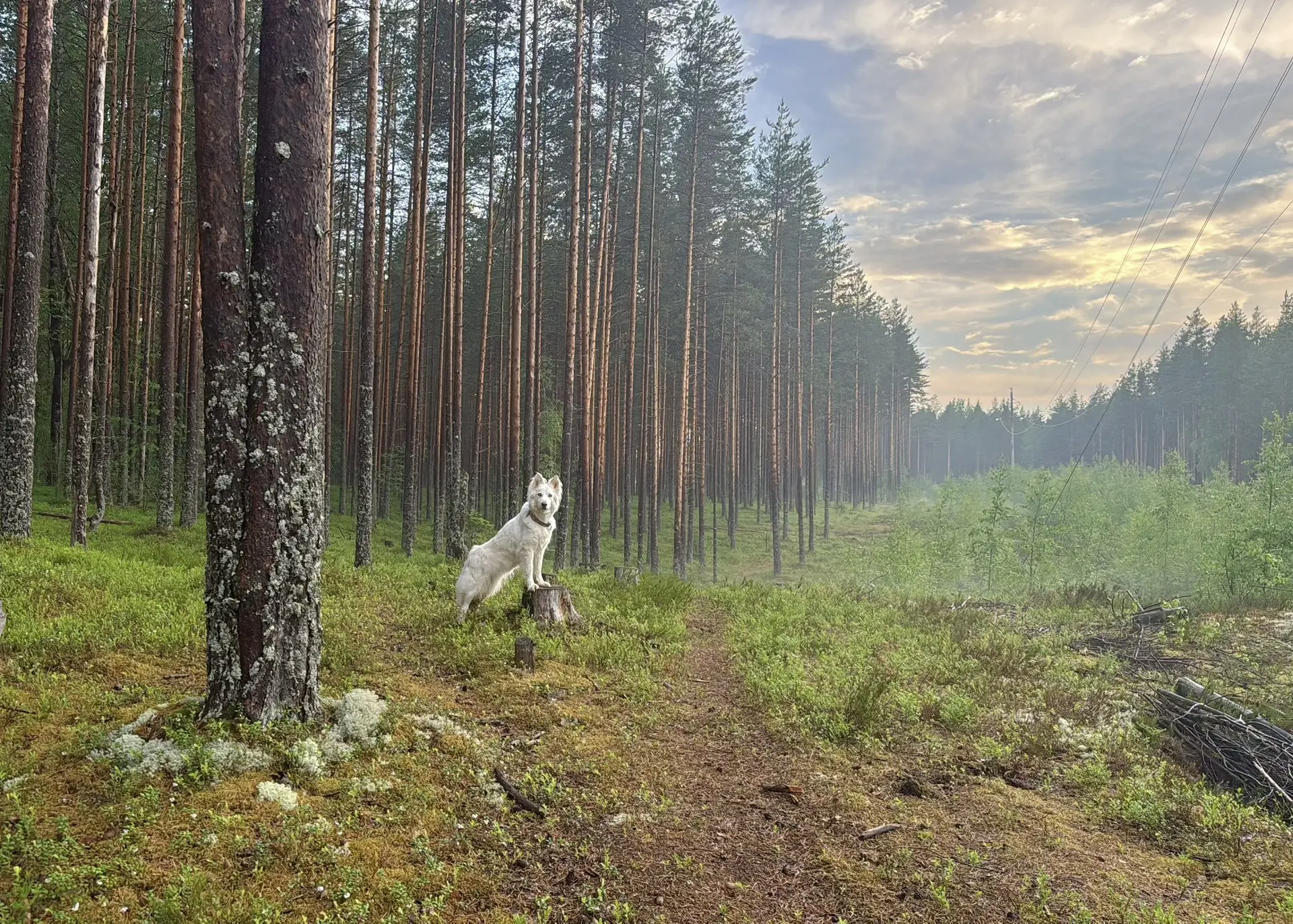 Вечер после грозы 😍 

Красиво и атмосферно, фотки не обрабатывала даже) Просто через Meitu сфоткала