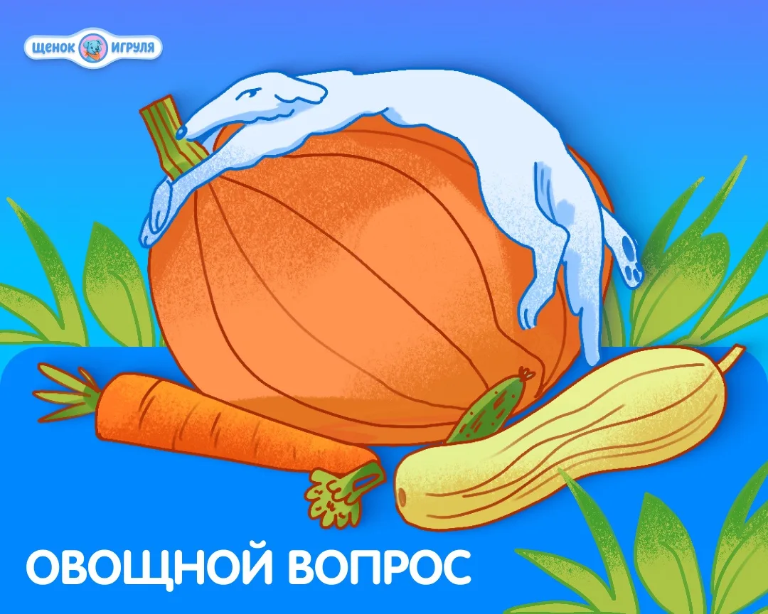 Овощной вопрос ☘️

Можно ли разнообразить рацион собаки овощами?

Да, но с важными оговорками и 