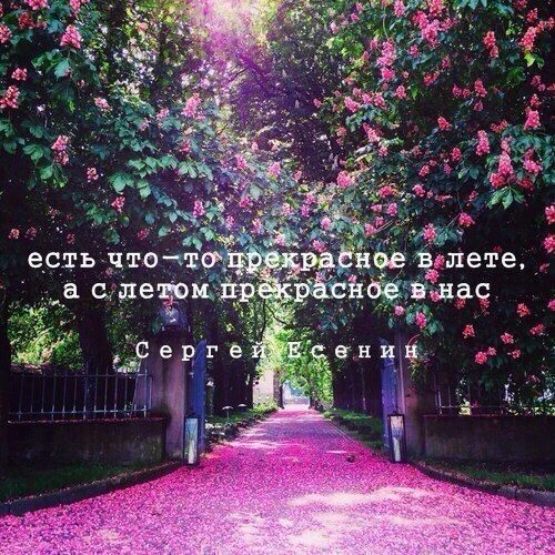 Чудесного вам дня и отличного настроения. 😍🤗😘