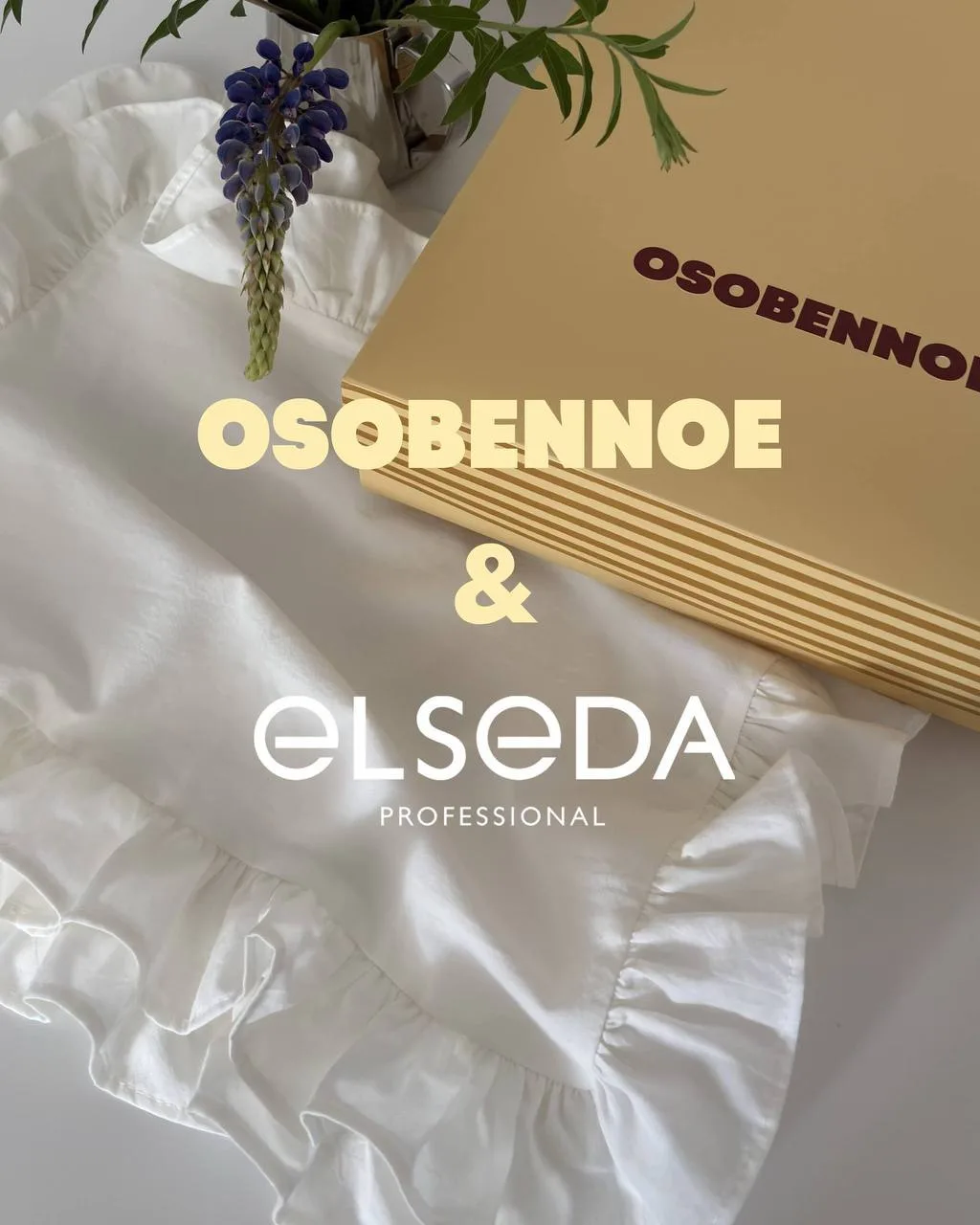 Идеальное утро с 
OSOBENNOE × ELSEDA

В нашем Telegram-канале проходит розыгрыш для самого идеальног