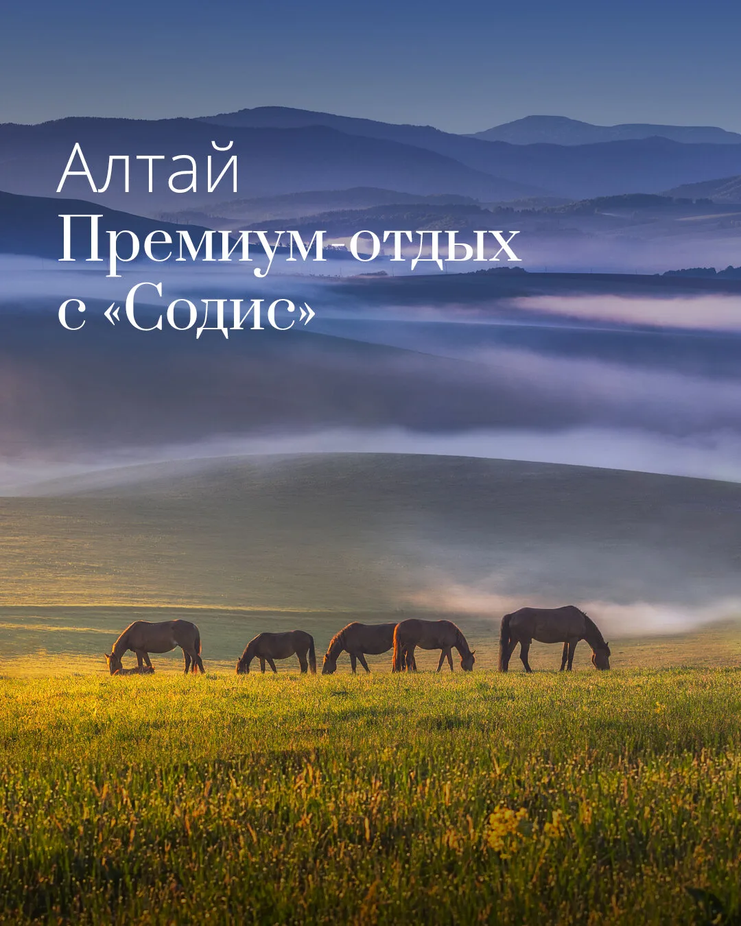 Ваш персональный маршрут по Горному Алтаю

Индивидуальное путешествие для вашей семьи или компании д