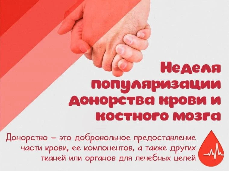 Неделя популяризации донорства крови и костного мозга в России проходит с 13 по 19 апреля 2026 года 