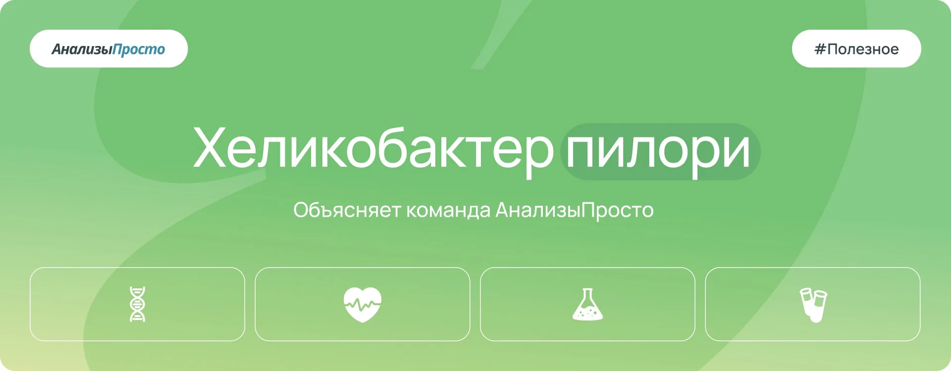 Хеликобактер пилори (Helicobacter pylori) — это коварная бактерия, способная выживать в кислой среде