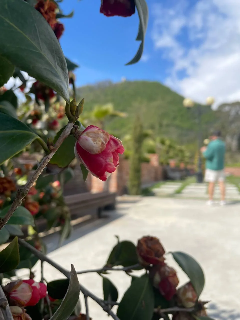🌸 Майские праздники в Абхазии — время солнца, моря и зелёных гор! 🏖️⛰️

Ищете идеальное место для 