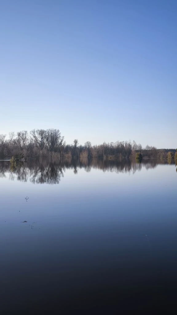 Ещё вам Ермишинской весенней красоты☀☀☀